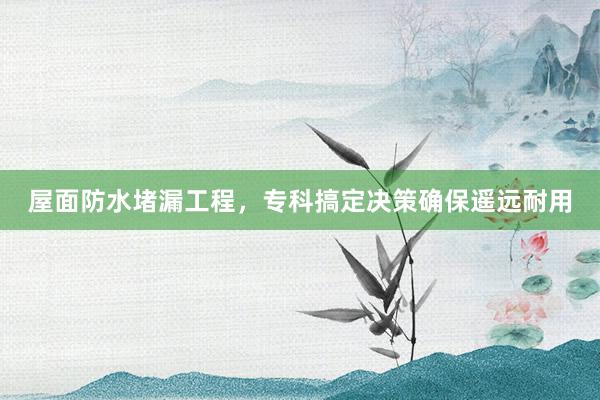 屋面防水堵漏工程，专科搞定决策确保遥远耐用